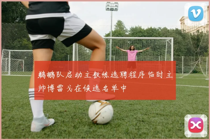 鹈鹕队启动主教练选聘程序临时主帅博雷戈在候选名单中